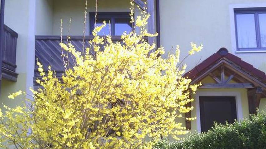 Ferienwohnung für 2 Personen, mit Balkon und Garten im Salzkammergut - 2
