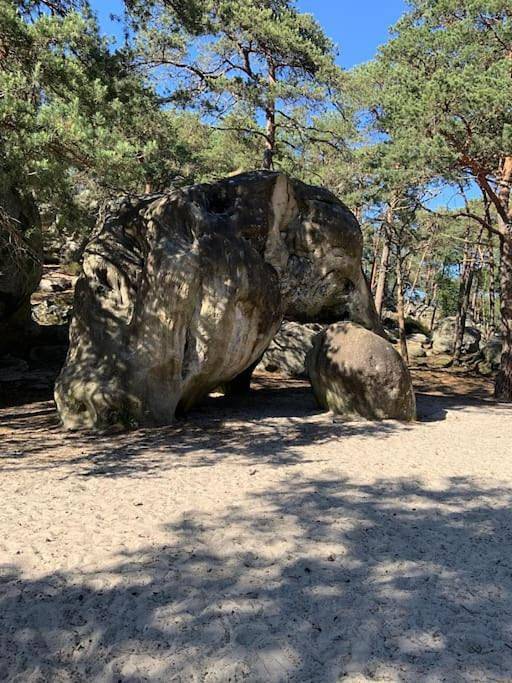 Location de vacances pour 5 personnes, avec jardin, animaux acceptés à Saint-Pierre-lès-Nemours - 4