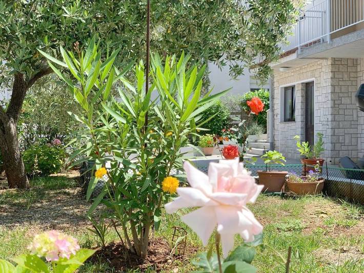 Maison d’hôte pour 2 personnes, avec jardin et terrasse à Pula - 3