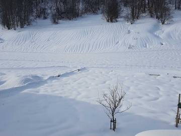 Ferienwohnung für 3 Personen in Mellau, Bregenzerwald, Bild 4