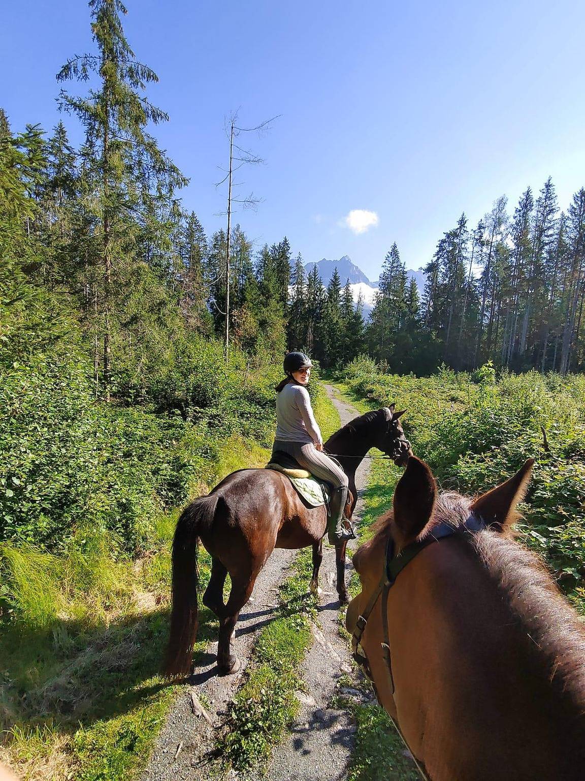 Apartment Tauernblick in Saalfelden am Steinernen Meer, Kitzbüheler Alpen