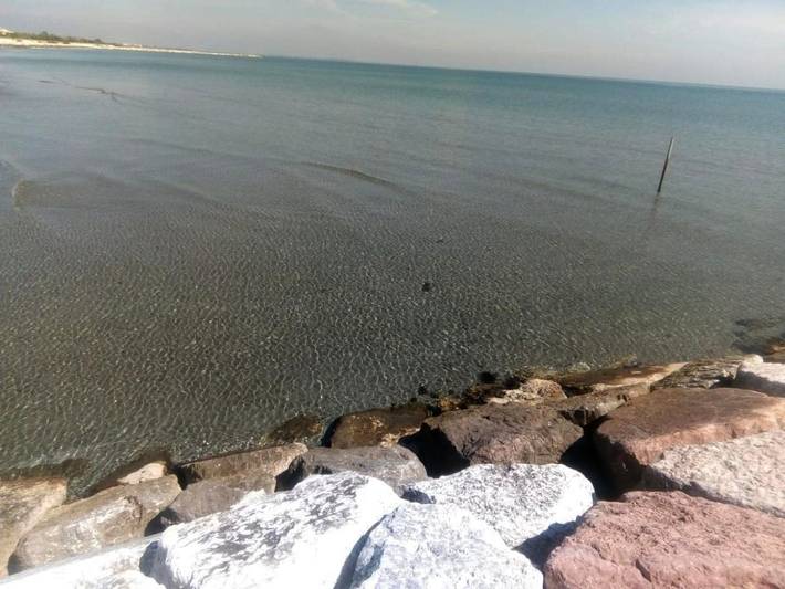 Chambre d’hôte pour 2 personnes, avec jardin, animaux acceptés à Lido di Venezia - 3