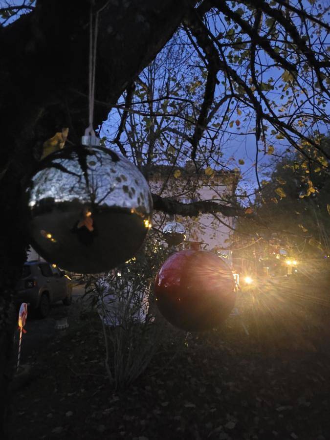 Location de vacances pour 2 personnes, avec piscine ainsi que vue et jardin à Monclar-de-Quercy - 4