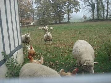 B&b voor 3 Personen in Valliquerville, Normandië, Afbeelding 4