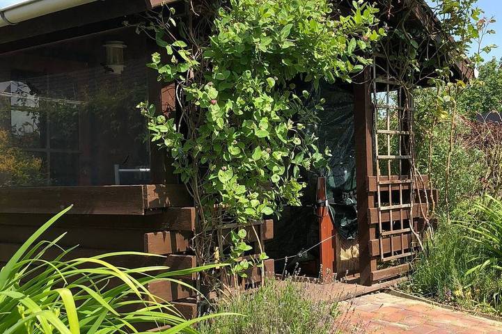 Ferienhaus für 5 Personen, mit Garten, mit Haustier in Friedrichskoog - 3