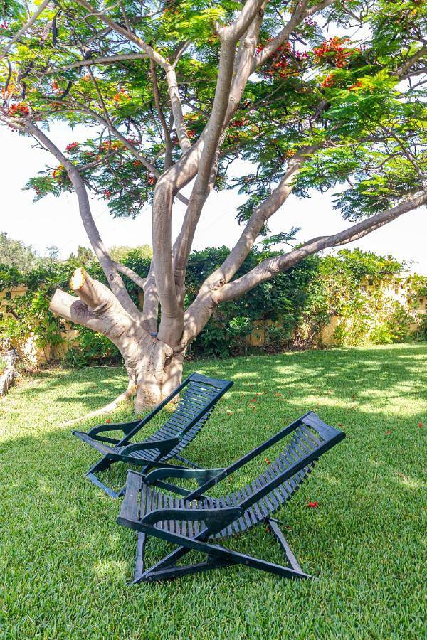 Casa rural para 8 personas, con piscina y jardín en Arucas - 2