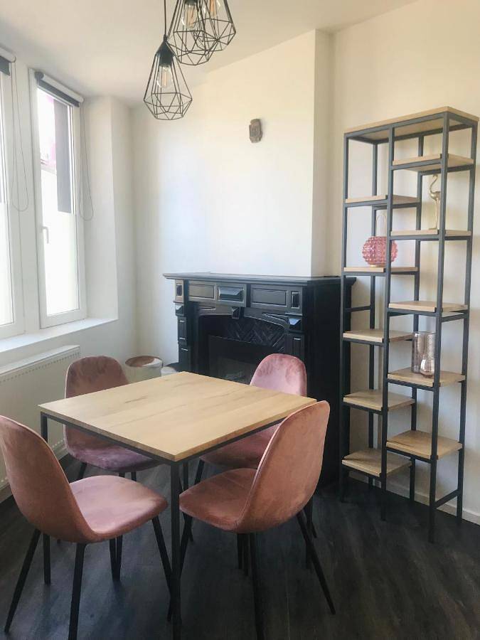 Location de vacances pour 4 personnes, avec terrasse à Renaix - 4