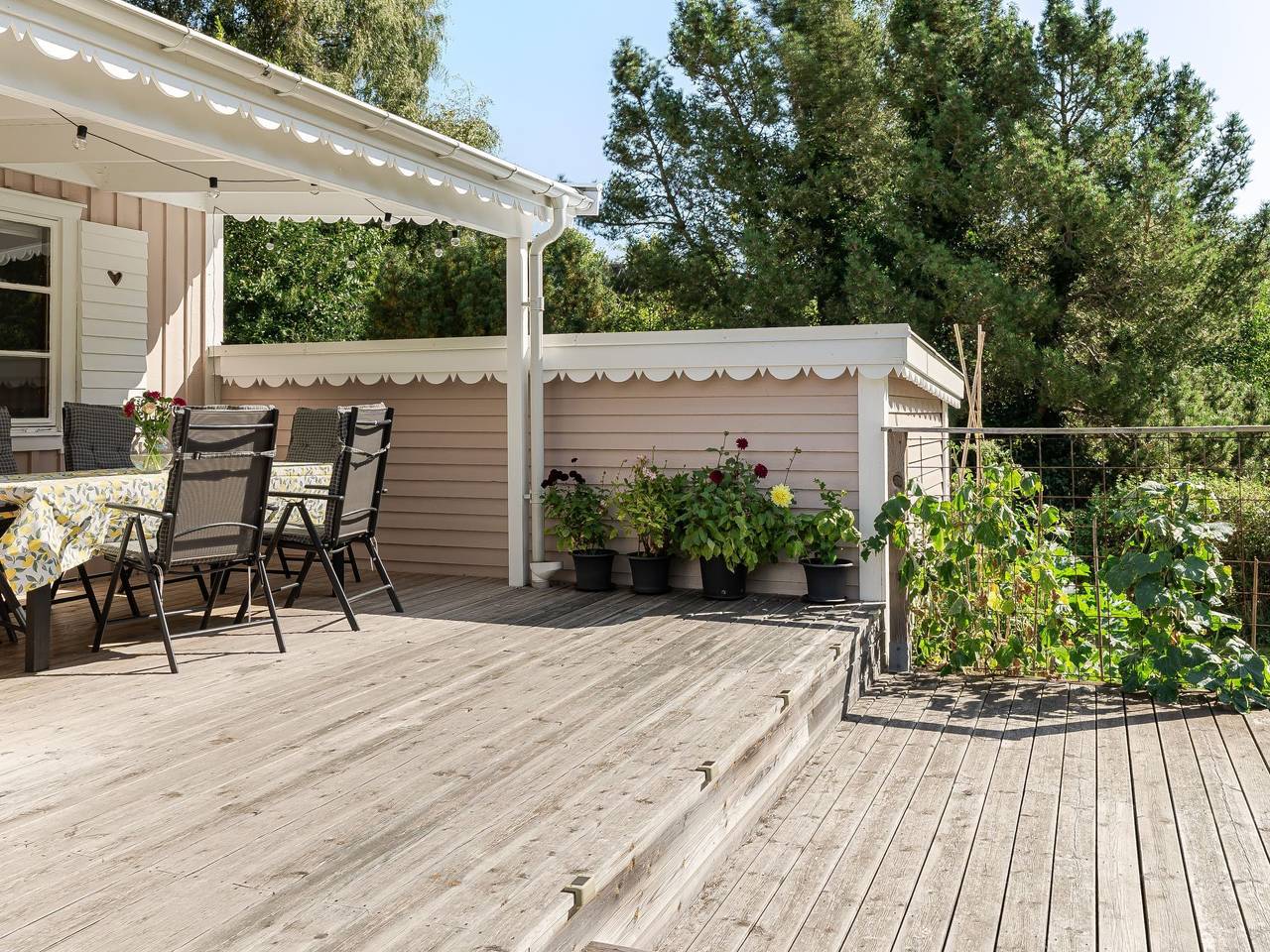 Rosa Huset in Bjärehalvön