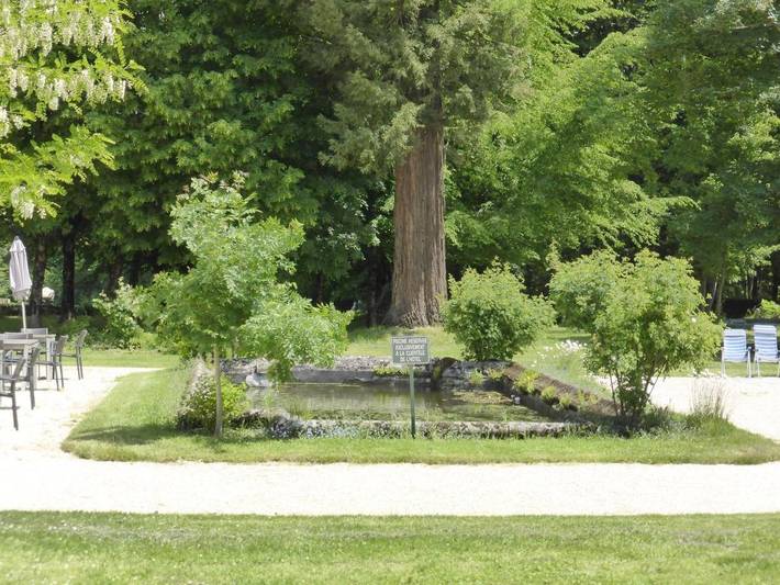 Hôtel pour 2 personnes, avec jardin et terrasse ainsi que vue et piscine, animaux acceptés à Chalais (Aquitaine) - 4