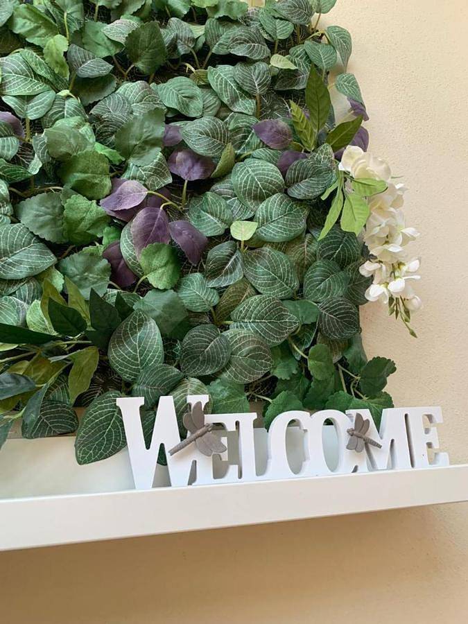 Gîte pour 3 personnes, avec terrasse à Carrare - 3