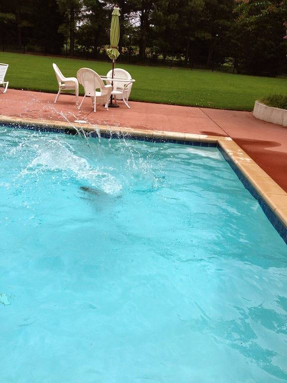 Rappahannock River Waterfront Property zur Miete mit Pier & Pool Zugang in Rappahannock River