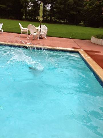 Vacation House for 10 Guests in Chesapeake Bay, Rappahannock River, Picture 2