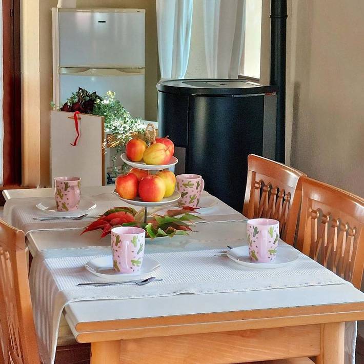 Gîte pour 6 personnes, avec jardin et vue, animaux acceptés dans Saint-Marcel - 4