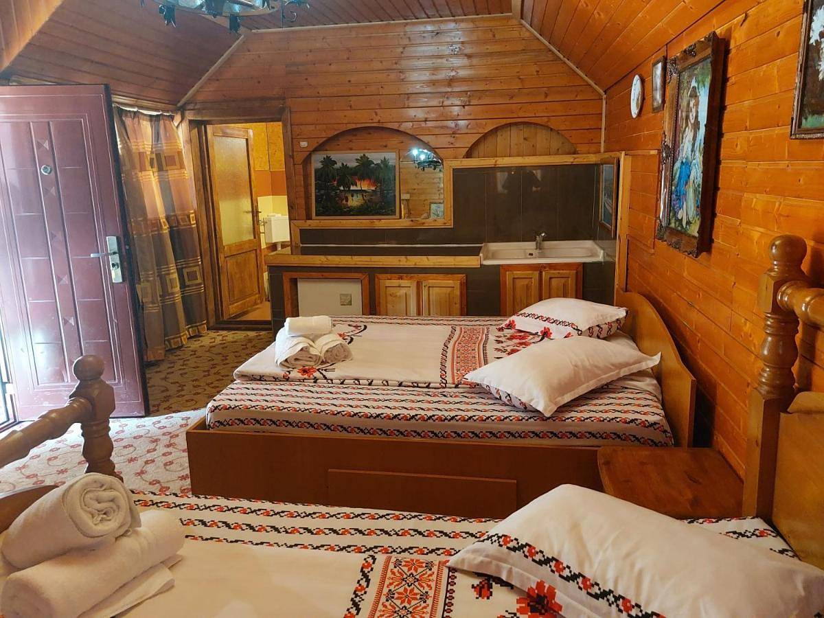 Double Room with Extra Bed in Carpates