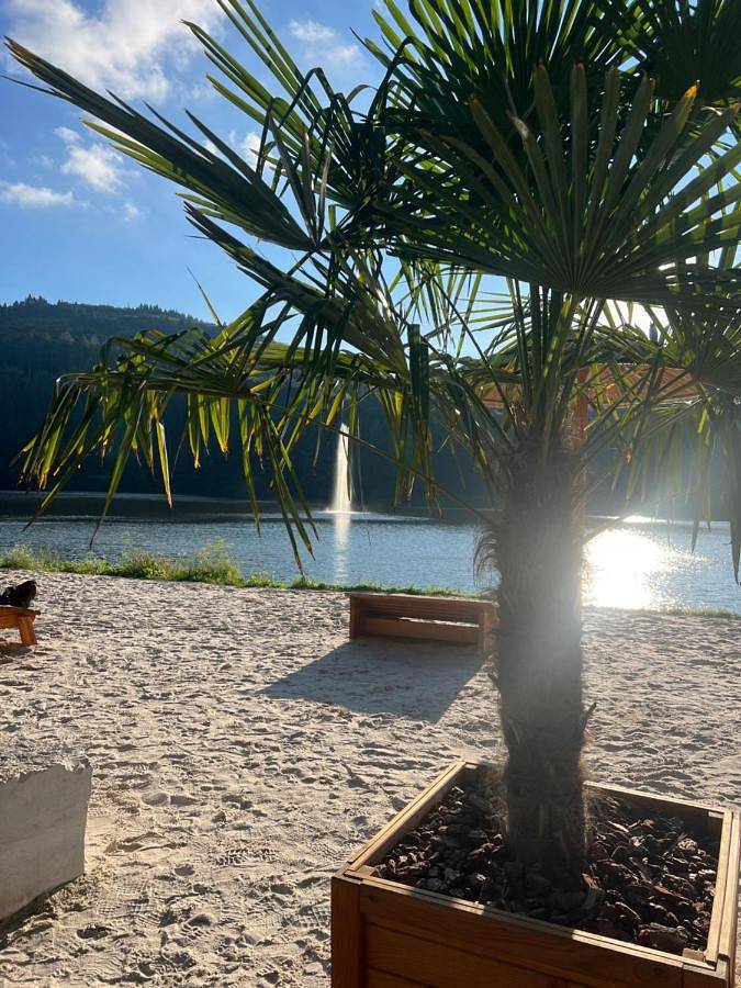 Ferienhaus für 5 Personen, mit Seeblick und Ausblick sowie Garten, mit Haustier in der Eifel - 2