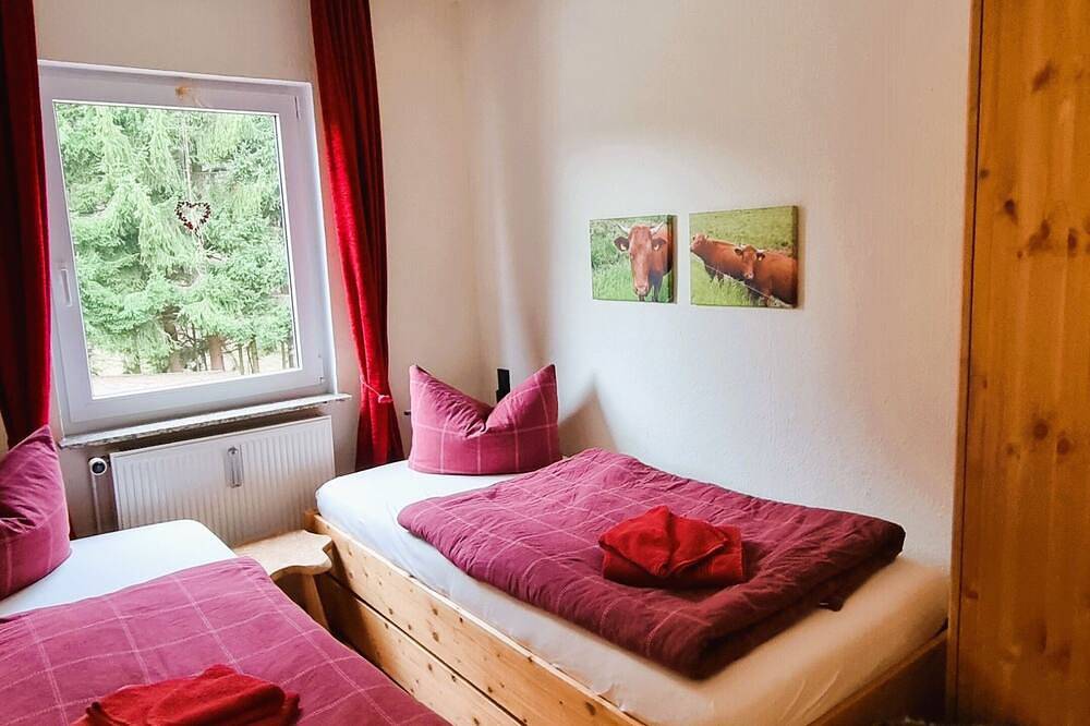 Entire apartment, House Belvidere - Holiday apartment in Elend, Harzvorland