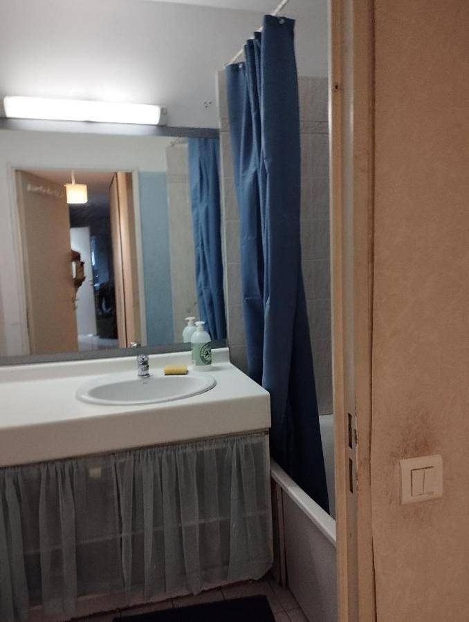 Gîte pour 3 personnes, avec terrasse et vue à Bonneuil-sur-Marne - 2