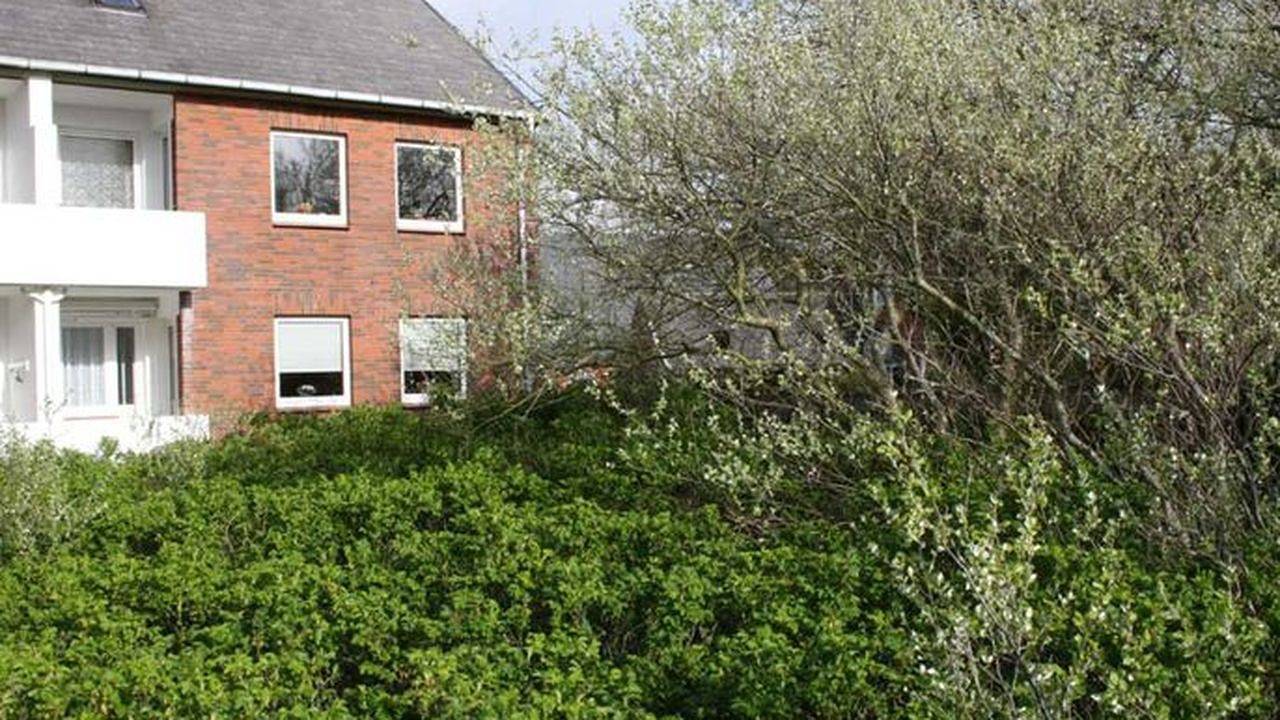 Ganze Ferienwohnung, Ferienwohnung für 3 Personen (58 m²) in Hörnum (Sylt) in Hörnum, Sylt