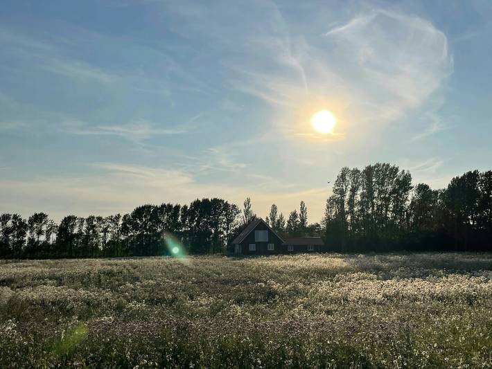 Ferienhaus für 8 Personen, mit Terrasse in Lolland - 2