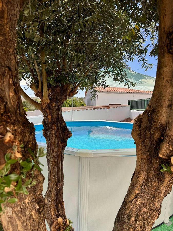 Casa de férias para 4 pessoas, com piscina e jardim, com animais de estimação em Castro Verde