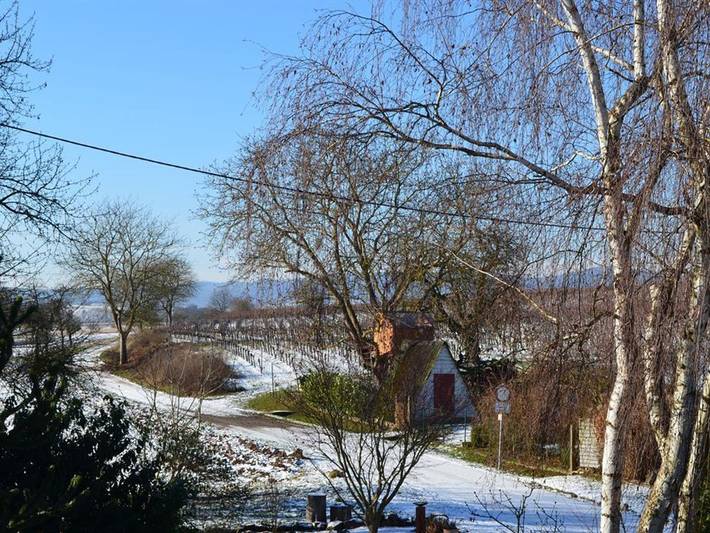 Ferienwohnung für 2 Personen, mit Terrasse und Garten in Deutsche Weinstraße - 3