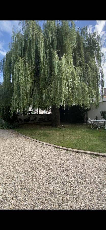Gîte pour 4 personnes, avec terrasse et jardin à Lailly-en-Val - 4