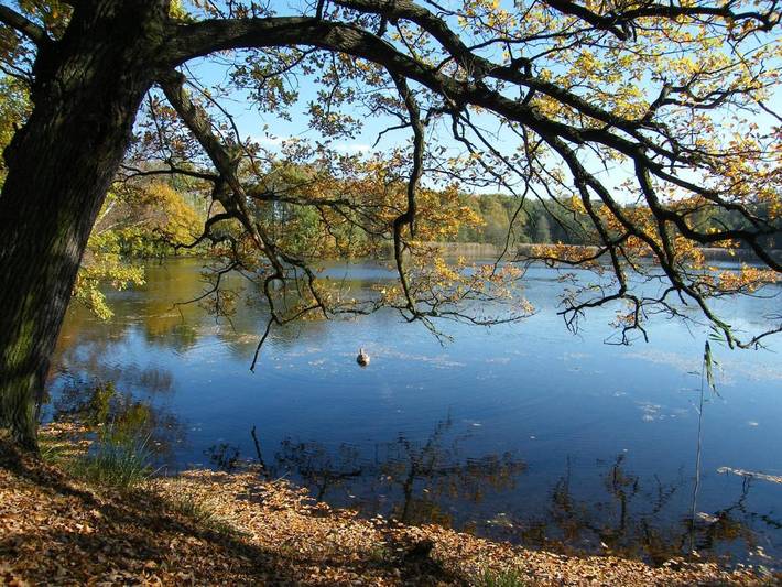 Ferienwohnung für 19 Personen, mit Sauna und Garten sowie Ausblick, kinderfreundlich in Bad Schmiedeberg - 4