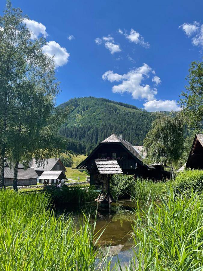 Ferienpark für 10 Personen, mit Terrasse und Garten sowie Sauna und Ausblick in St. Georgen ob Murau