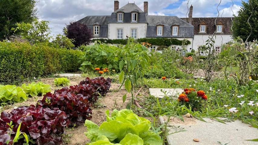Chambre d’hôte pour 2 personnes, avec jardin, animaux acceptés à Paucourt - 2