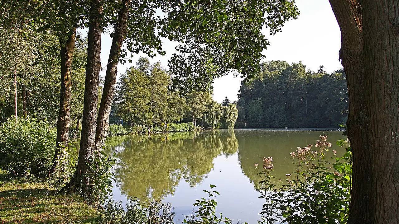 Ganze Ferienwohnung, Ferienwohnung für 2 Personen (50 m²) in Bad König in Bad König, Main-Odenwald