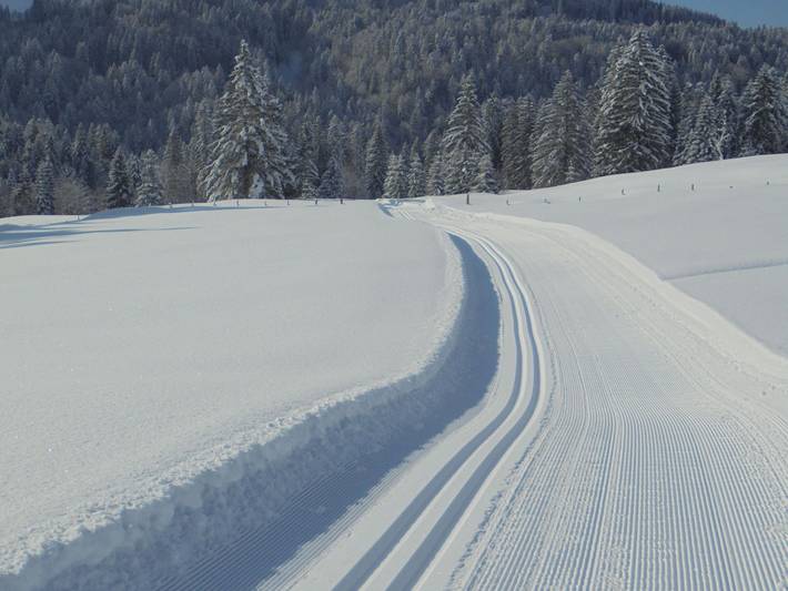 Ferienwohnung für 3 Personen, mit Ausblick und Balkon in Sibratsgfäll - 4