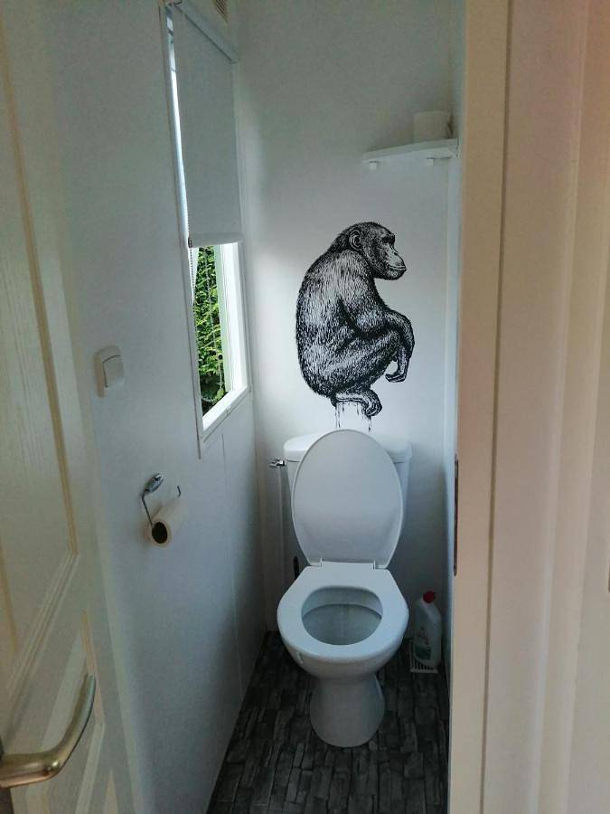 Camping pour 4 personnes, avec jardin, animaux acceptés en Ille-et-Vilaine - 2