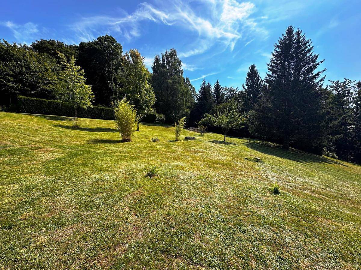 Apartment in Dabo, Sarrebourg