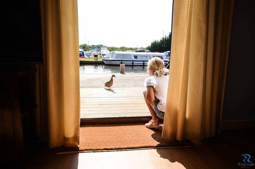Bluebell Lodge in Horning (Norfolk), The Broads