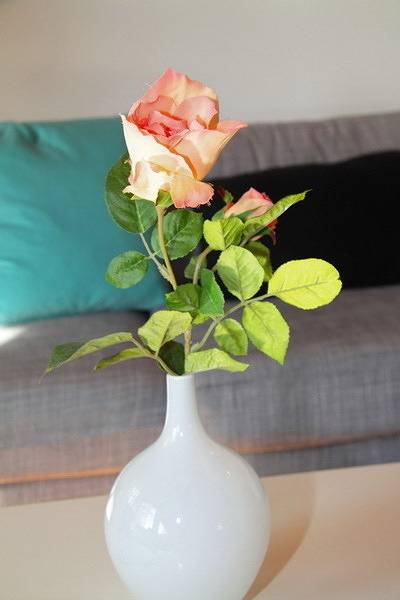 Geheel vakantieappartement, Vakantieappartement voor 4 personen met balkon in Schwangau, Zwaben (Bayern)