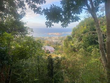 Chambre d’hôte pour 2 personnes, avec jardin et terrasse ainsi que vue et piscine dans Faa'a