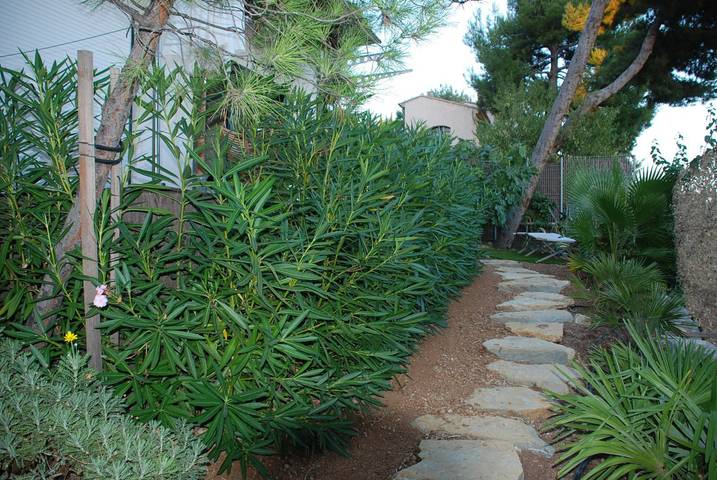 Gîte pour 4 personnes, avec terrasse et jardin à Carqueiranne - 3