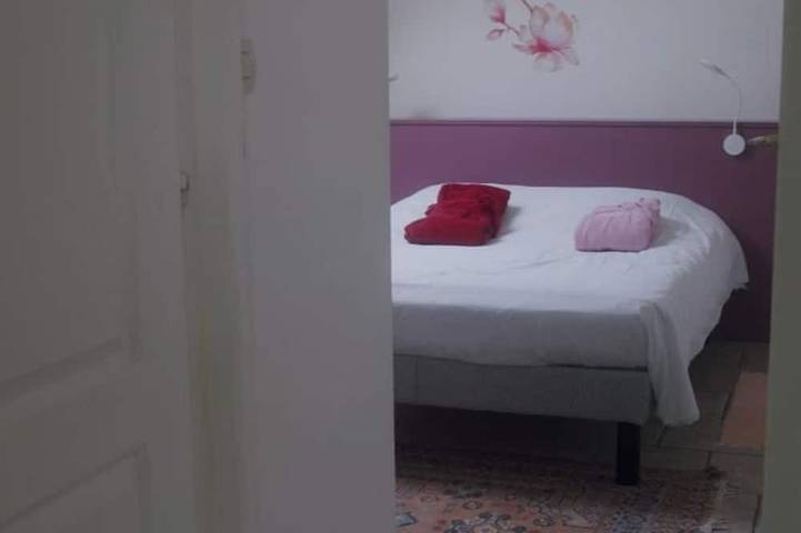 Gîte pour 3 personnes, avec jardin à Germigny-des-Prés - 3