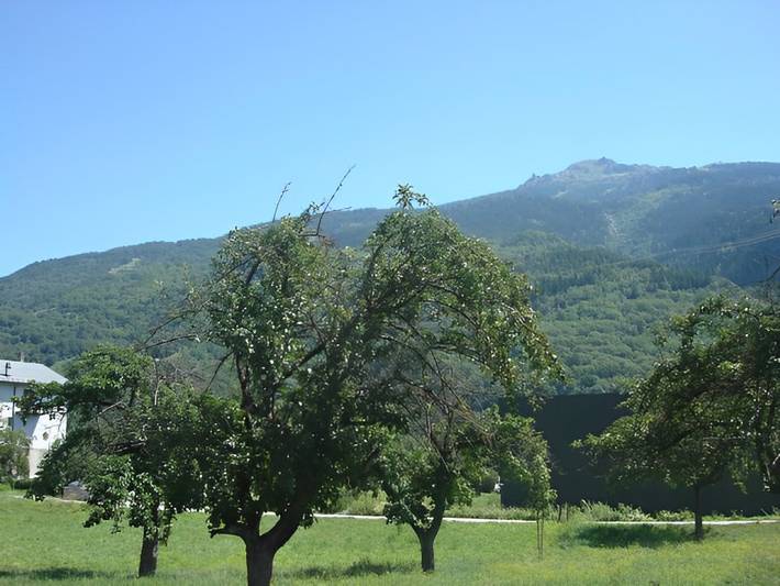 Chambre d’hôte pour 2 personnes, avec jardin à Bourg-Saint-Maurice - 4