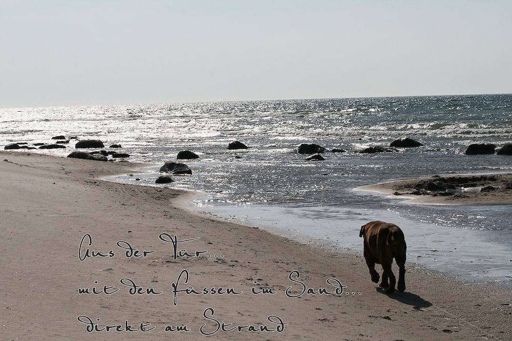 Direkt Am Ostseestrand, Bungalow für 5 Personen, Haustiere willkommen, Ostalgie in Kreptitz, Dranske