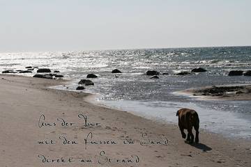 Bungalow für 5 Personen in Kreptitz, Dranske, Bild 4