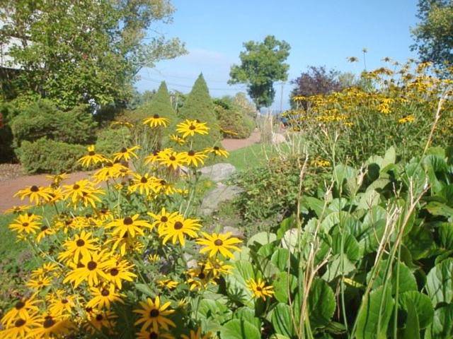 Ferienhaus mit Meerblick für 4 Personen, mit Terrasse und Garten in Bastorf - 4
