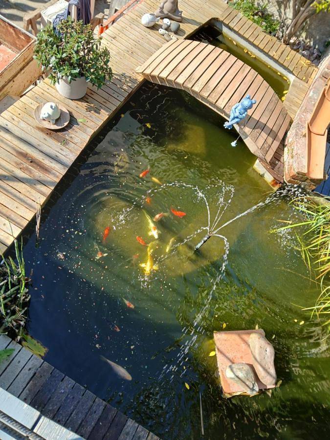 Location de vacances pour 2 personnes, avec jardin et terrasse ainsi que jacuzzi et piscine à Mortagne-sur-Sèvre - 4