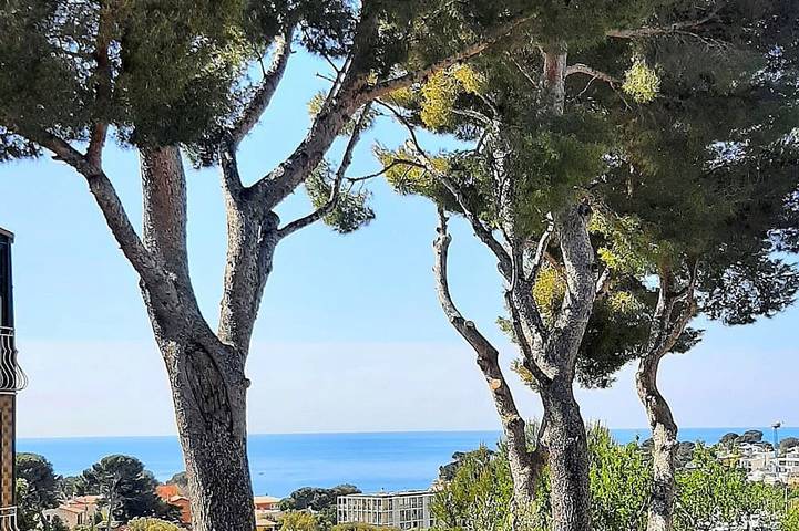 Maison de vacances pour 6 personnes, avec terrasse et jardin - 1