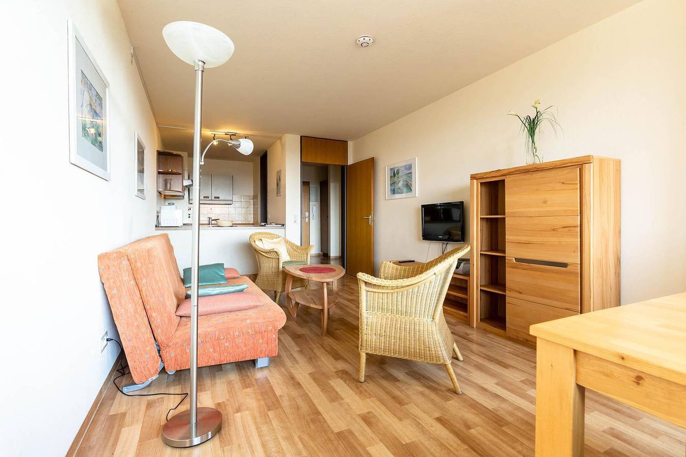 Ganze Wohnung, 2-Zimmer-Apartment (Typ 3) in Immenstaad am Bodensee, Region Bodensee-Oberschwaben