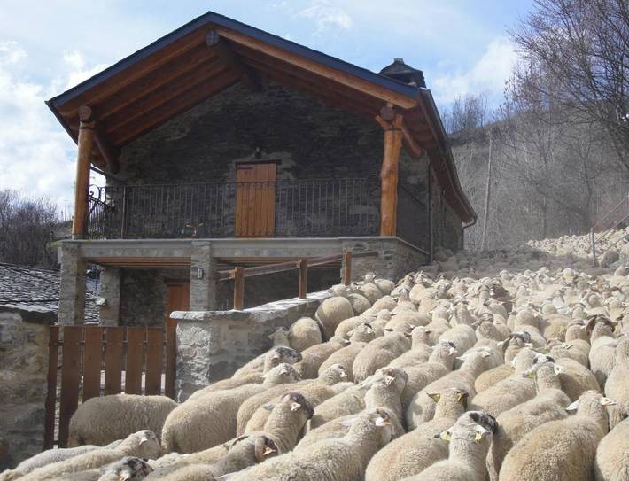 Casa rural para 3 personas, con Terraza y Jacuzzi además de Jardín y Vistas en Queralbs