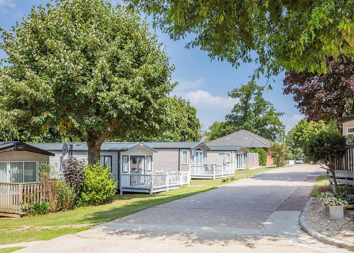 Glamping for 6 People in Dalwood, Devon