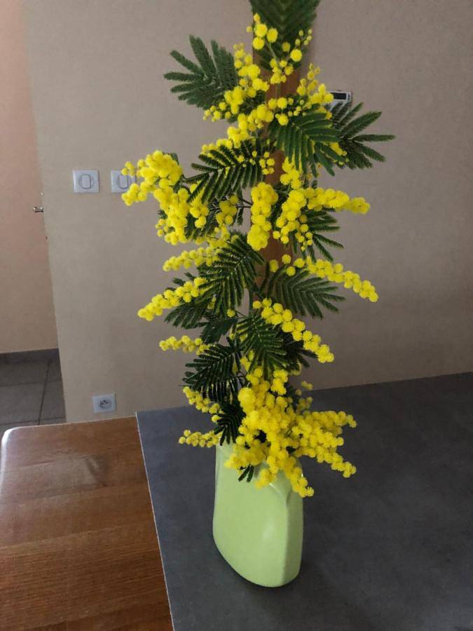 Appartement entier, Chambre 2 côté sud chez particulier 1 lit 2 personnes in Loriol-sur-Drôme, Région de Valence