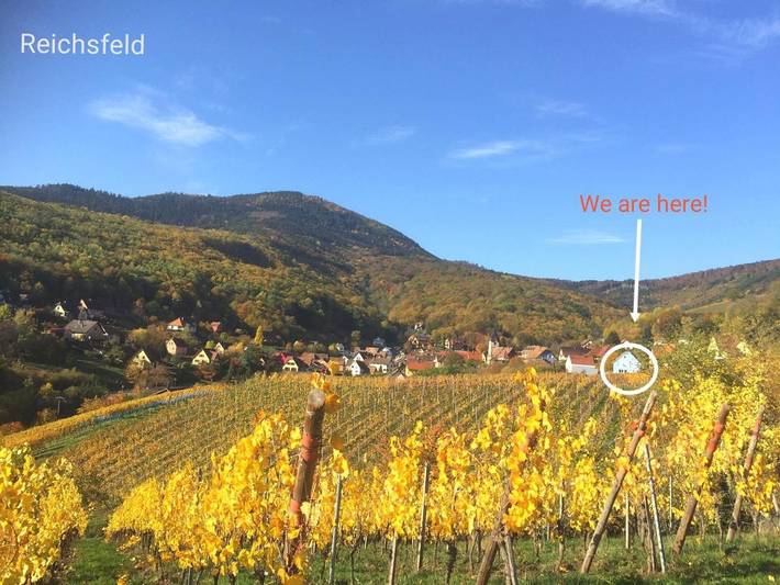 Gîte pour 7 personnes, avec vue et terrasse, animaux acceptés à Reichsfeld - 2