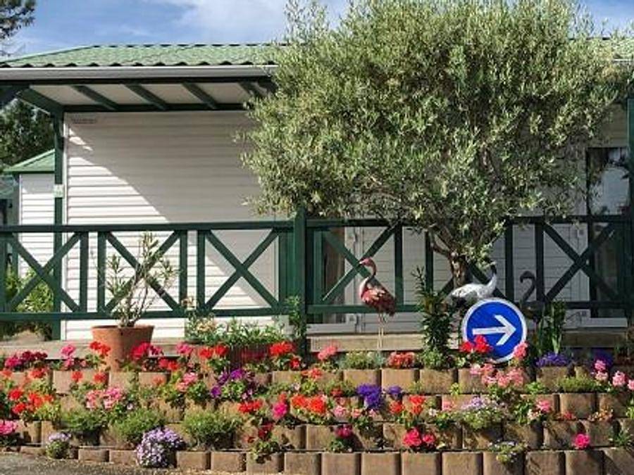 Camping Les Tulipes - Chalet 2 personnes - Chalet mitoyen 16m² - 1 chambre + terrasse couverte 8m² 2 pers in L'Aiguillon-la-Presqu'île, Vendée